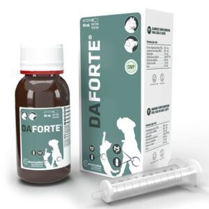 Daforte